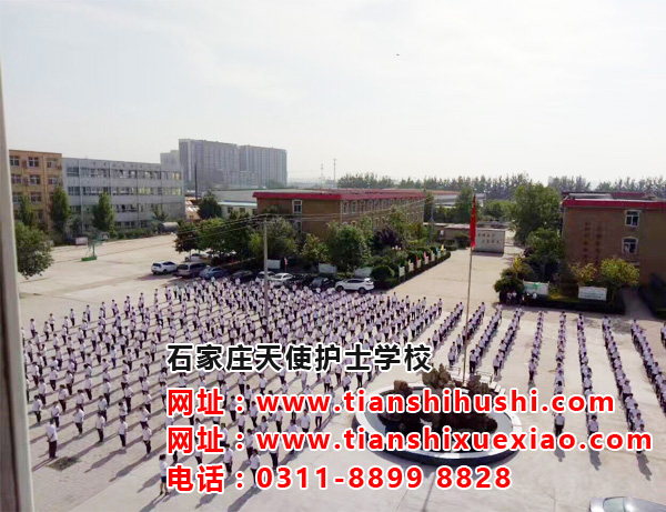 石家莊天使護士學校