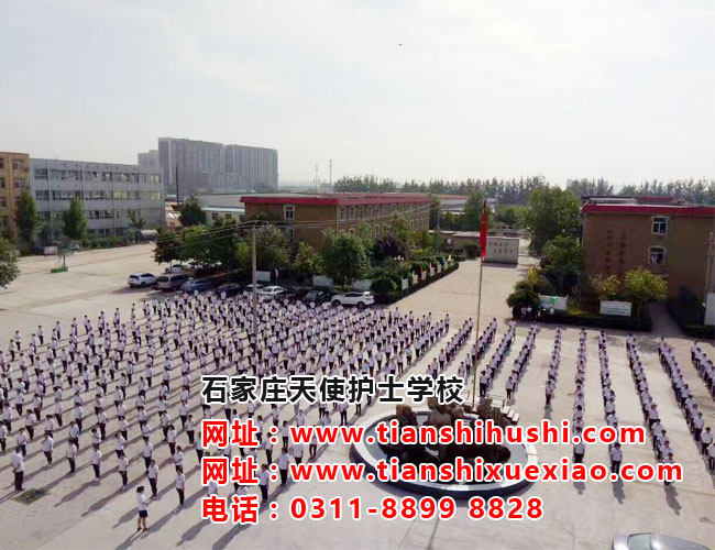 石家莊天使護(hù)士學(xué)校