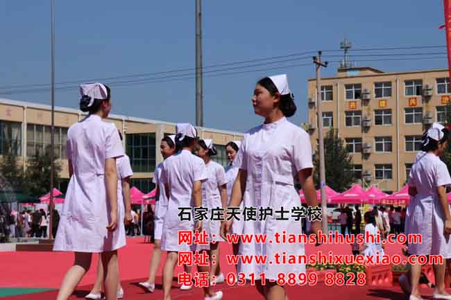 石家莊天使護(hù)士學(xué)校課程安排