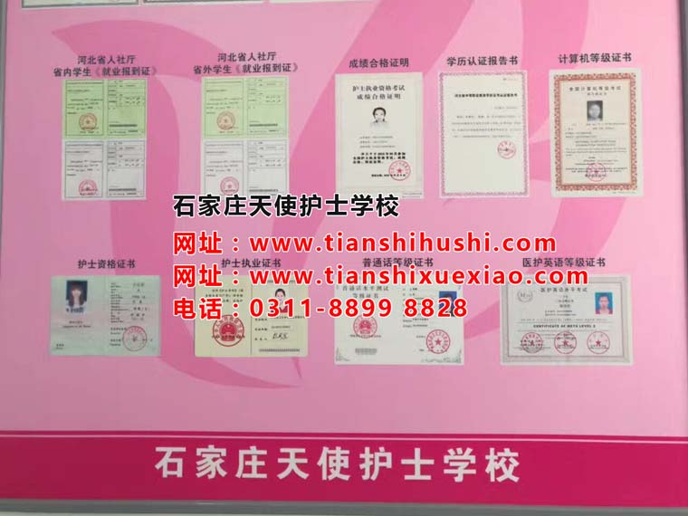 石家莊天使護(hù)士學(xué)校是國辦的嗎