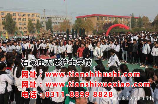 天使護(hù)士學(xué)校