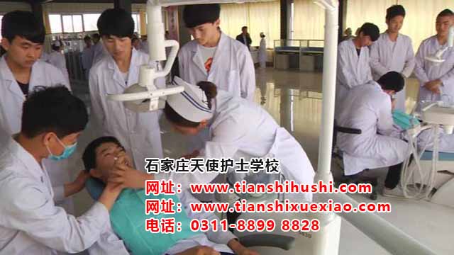 石家莊天使護士學?？谇粚I