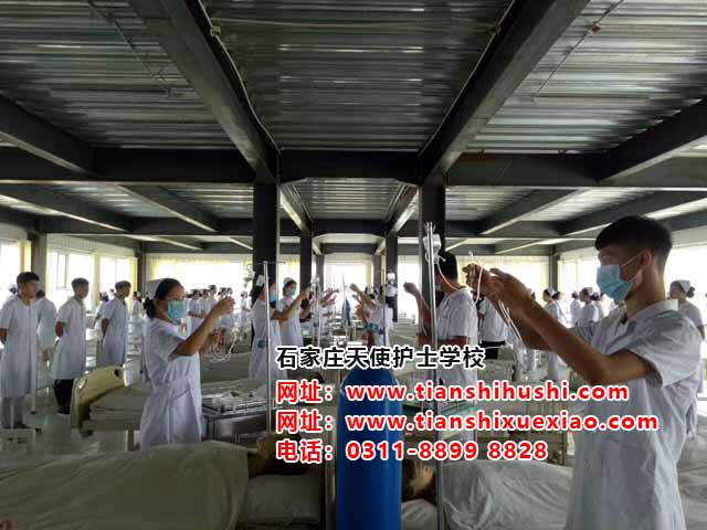 石家莊天使護士學校護理專業