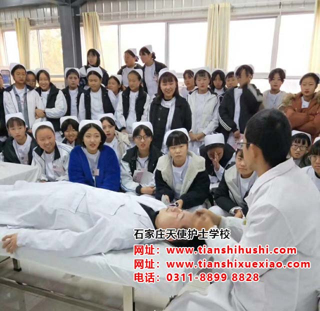 石家莊天使護士學校