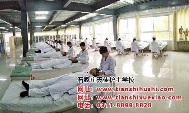 石家莊天使護士學校中醫康復保健專業