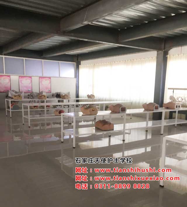 石家莊天使護士學校