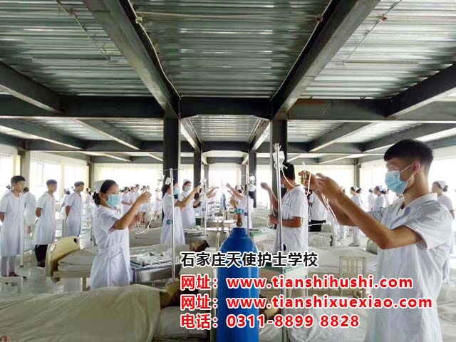 石家莊天使護士學校