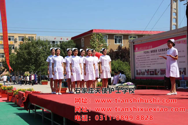 護士每天的日常工作