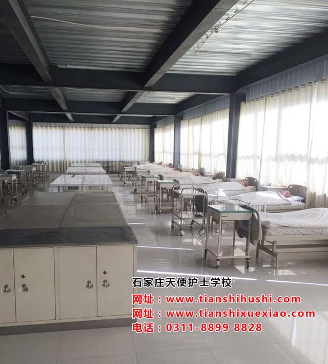 石家莊天使護士學校