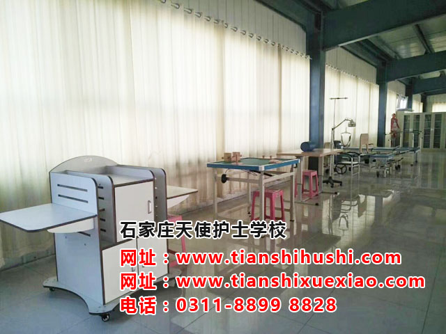 石家莊天使護士學校