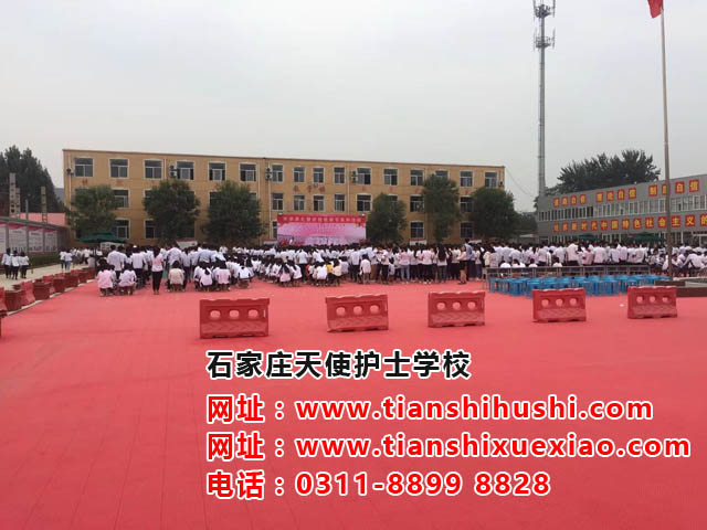 石家莊天使護士學校