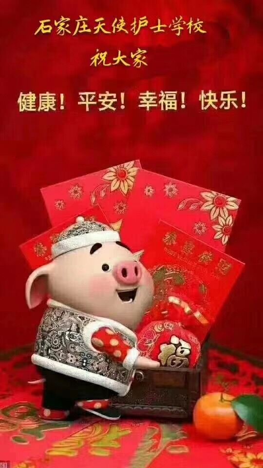 石家莊天使護士學校新春大拜年丨一心所向 追逐夢想