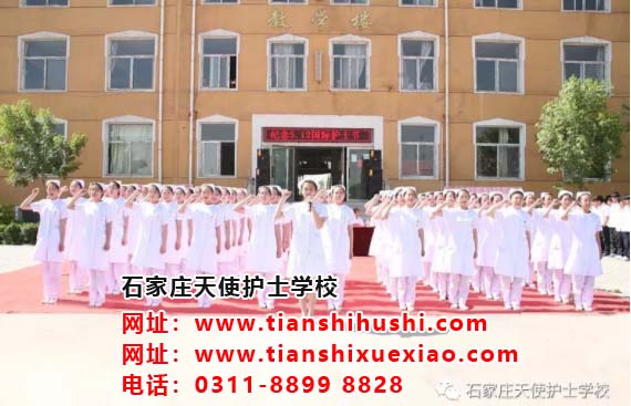 石家莊天使護士學校關于延遲開學的通知