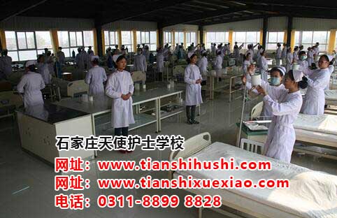 石家莊天使護士學校提示：結核病防治核心信息及知識要點