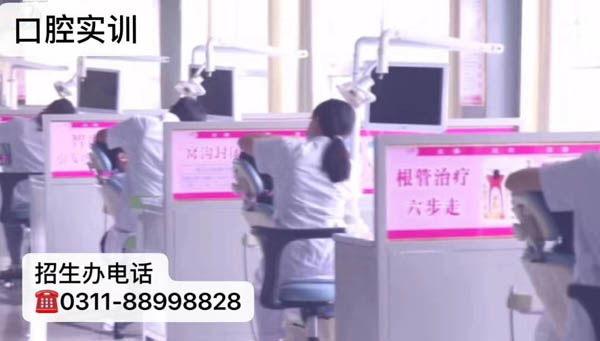 廊坊地區學生可以享受石家莊天使護士學校4000元助學金補助嗎