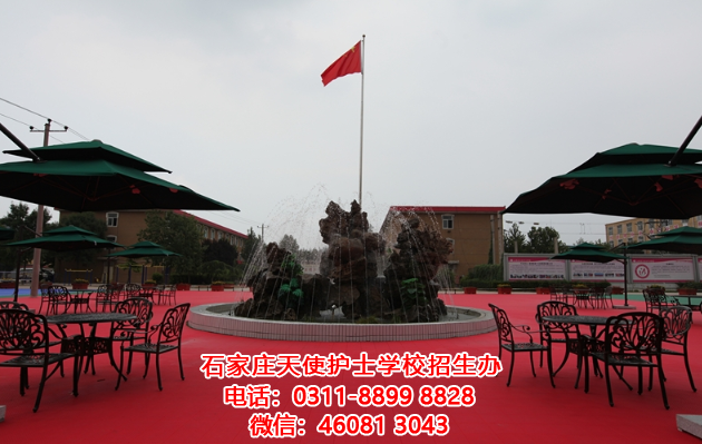 石家莊天使護士學校學生獎學金評定辦法