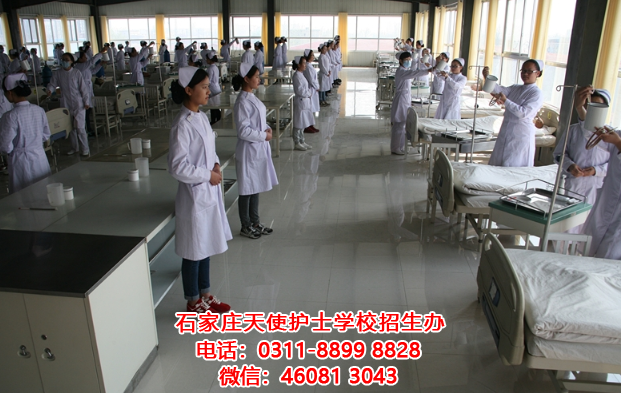 石家莊天使護士學校護士專業學生必須牢記的護理知識（一）