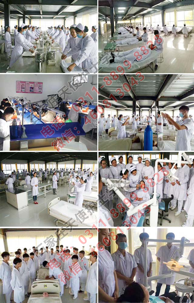 石家莊天使護士學(xué)校對于初中生可以上大學(xué)嗎