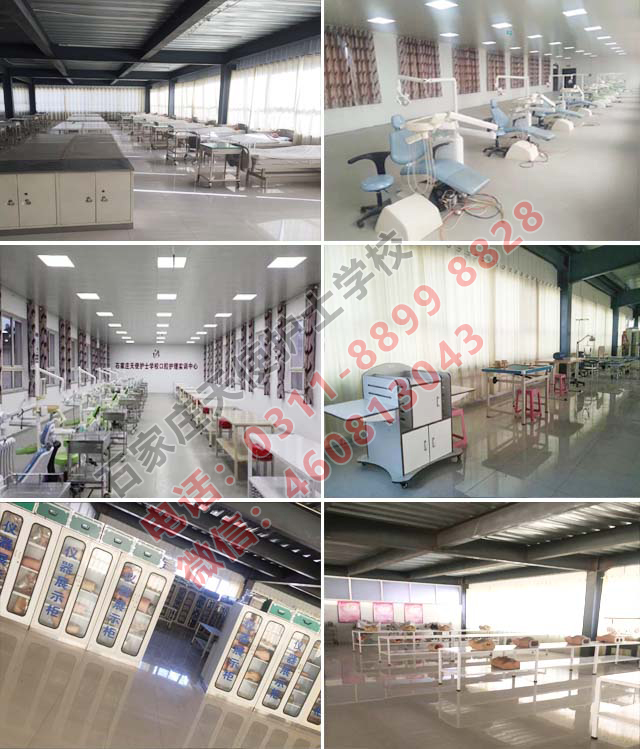 石家莊天使護士學校2021年春季新生是從新分新班還是插班？