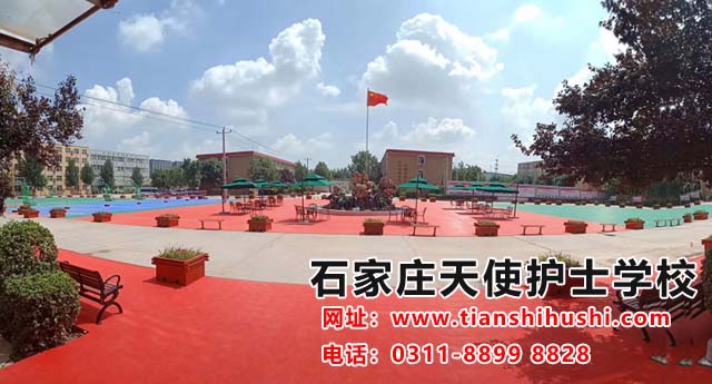 衛校招生有什么要求?