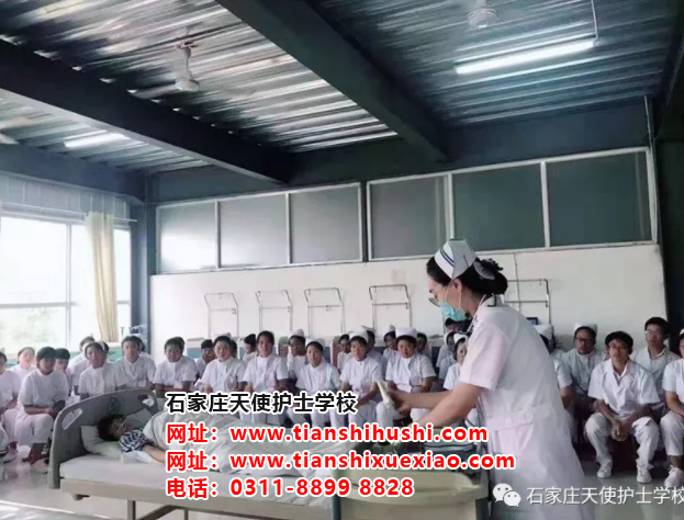 石家莊天使護士學校學習護理專業除了當護士還能干什么