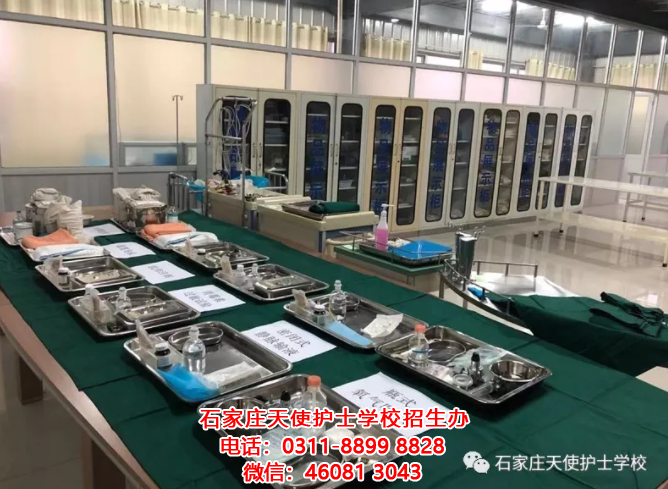 石家莊天使護士學校中藥專業都學什么