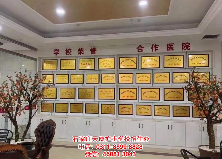 來石家莊天使護士學校上學選擇什么專業好