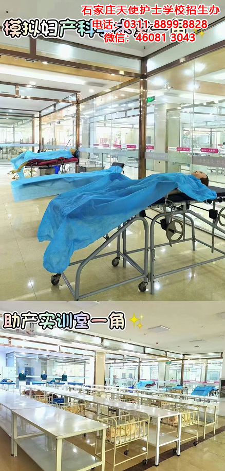 石家莊天使護士學校2025年春季招生要分嗎