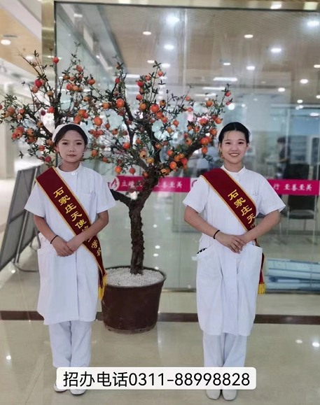 石家莊天使護士學校2024年招生專業