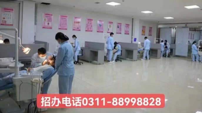 成為牙醫行業的精英：石家莊天使護士學校2024年春季口腔專業招生簡章發布