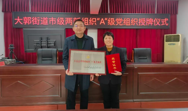 喜報！石家莊天使護士學校榮獲石家莊市兩新組織“A”級黨組織