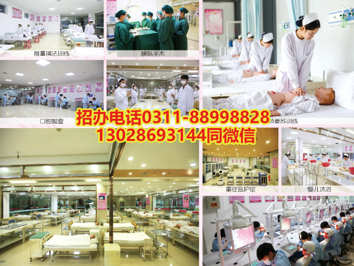 石家莊天使護士學校2024年秋季招生報名方式