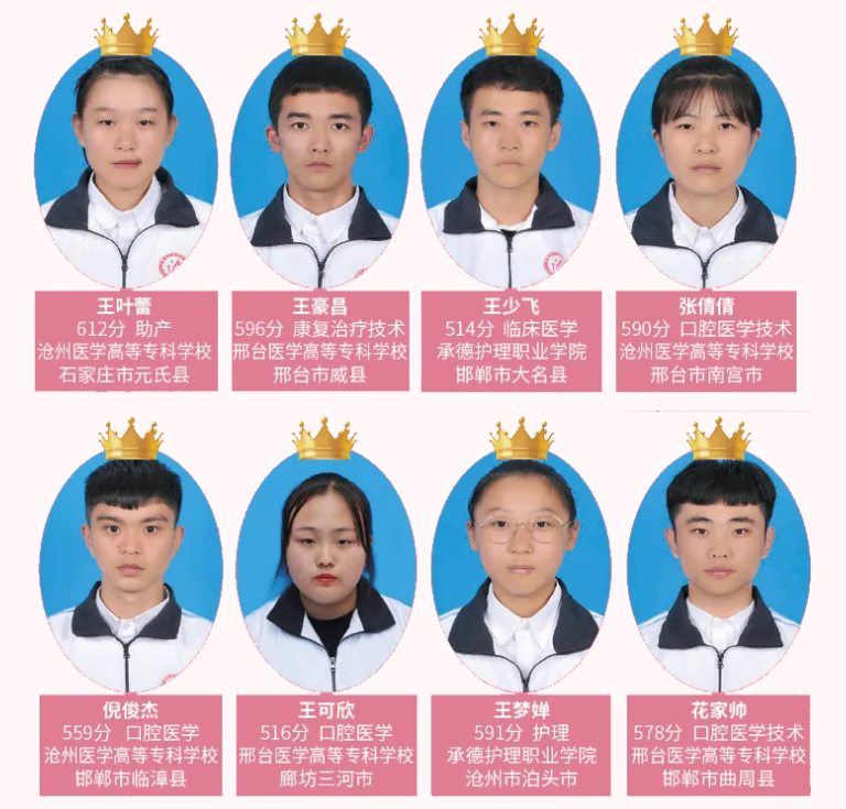 在石家莊天使護士學校上學學習文化課知識嗎？