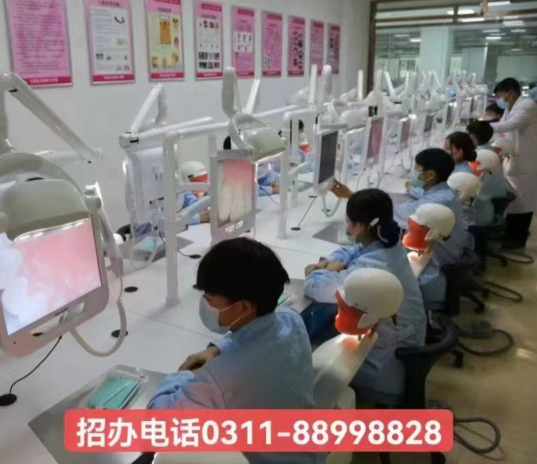 石家莊天使護士學校口腔專業怎么樣