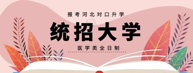 2025年河北省中等職業學校對口升學專業考試安排出爐