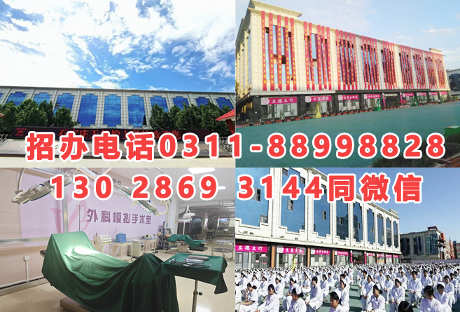 2025年石家莊天使護士學校秋季招生簡章