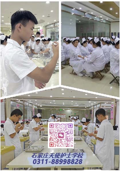 2026年春季石家莊天使護士學校招生報名要求、招生專業、學費