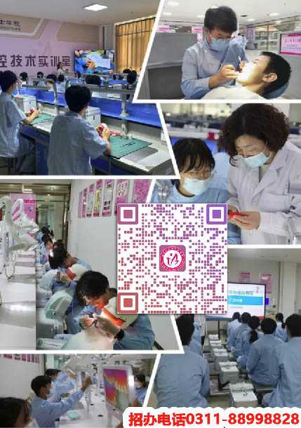 石家莊天使護(hù)士學(xué)校2026年招生專業(yè)都有哪些