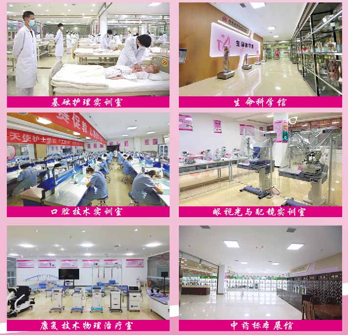 石家莊天使護士學校2026年秋季招生有哪些專業