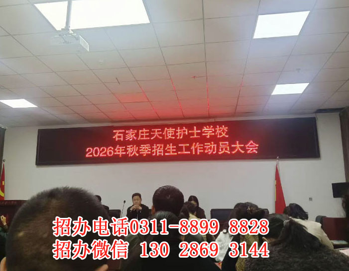 自主招生階段不卡分 限制名額 I 石家莊天使護士學校2026年秋季班招生簡章